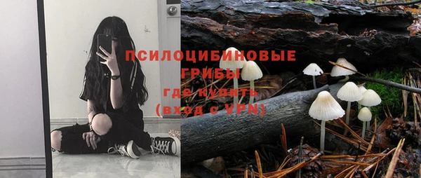 гидропоника Вязьма