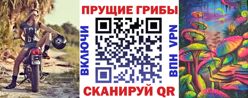 сколько стоит  Энгельс  Псилоцибиновые грибы мицелий 